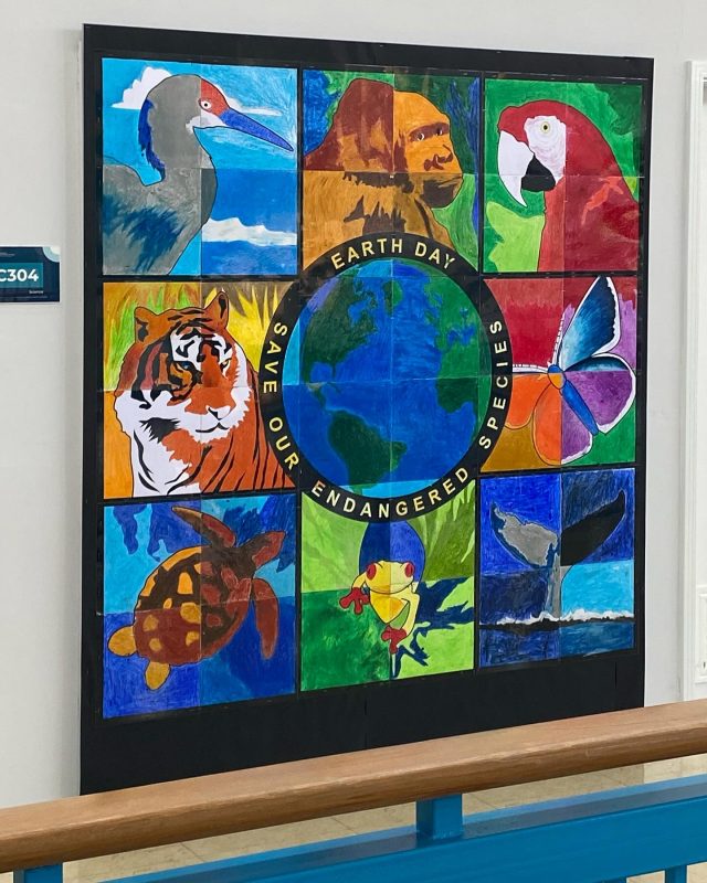 Latest collaborative project with Oil Pastel and melting laminating plastic sheets.
#gallery