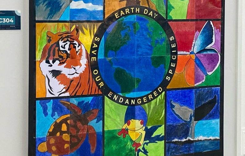 Art as Awareness: Creating Change Through Collaboration